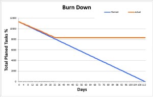 Burn Down new
