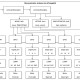 Software Block Diagram